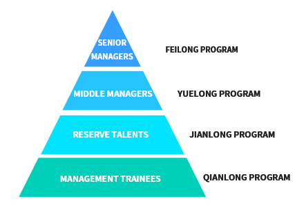 1585019357810039639.png 人才戰(zhàn)略.png